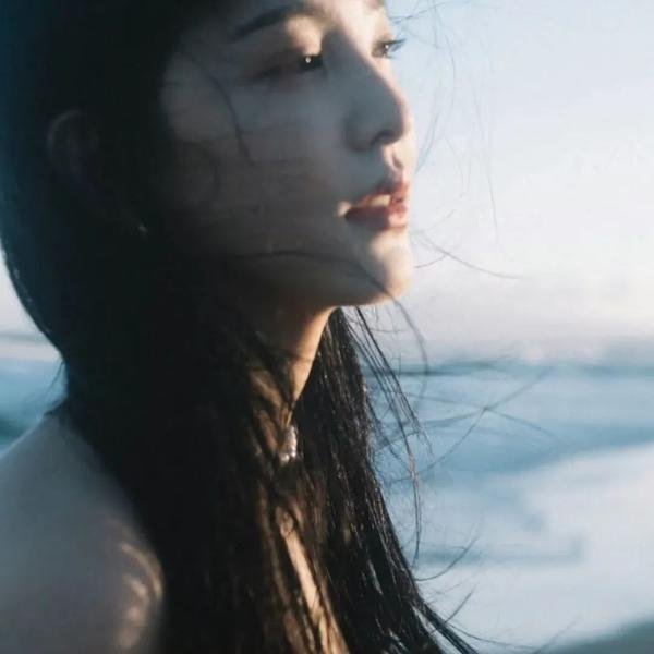 危险女婿